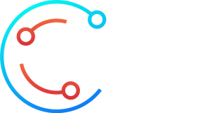 Lidera Tecnologia e Gestão